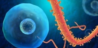 Leader of Anti-Vax Movement: Large Sentient Flu Virus ebola virus