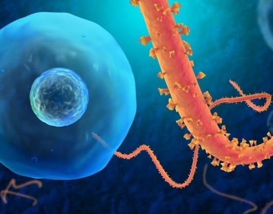 Ebola Virus: I’m Really Uncomfortable with All This Attention I’m Getting ebola virus