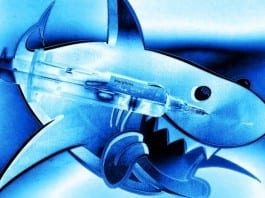 Shark Attack Victim Denied Narcotics