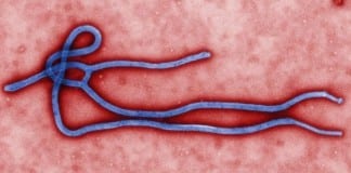Texas Ebola Doctor: ‘Nurse, I’ll Be Right Behind You’