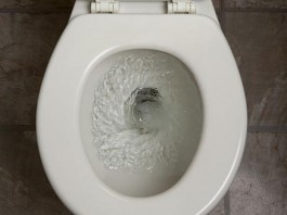 So You Dropped Your Pager into the Toilet, What to Do Next toliet flushing medications