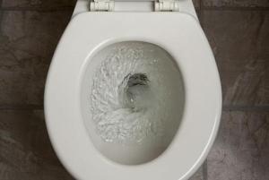 toliet flushing medications