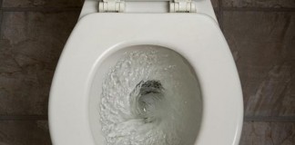 NIH Plans to Study Why Narcotics, Benzos Fall Into Sinks, Toilets Excessively toliet flushing medications