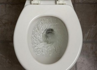 So You Dropped Your Pager into the Toilet, What to Do Next toliet flushing medications