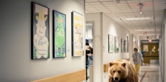 Hospital Pilots Pet Therapy with Black Bears, Grizzlies