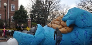 Cookie Monster in Critical Condition Due to Diabetic Complications diabetic coma