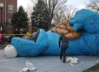 Cookie Monster in Critical Condition Due to Diabetic Complications diabetic coma