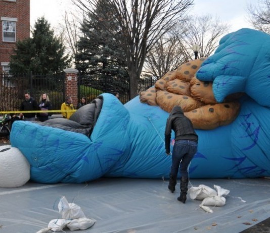 Cookie Monster in Critical Condition Due to Diabetic Complications diabetic coma