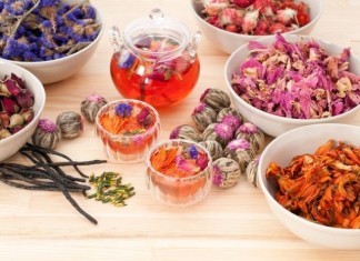 Ask Alternative Medicine Doctors About Ebola alternative medicine