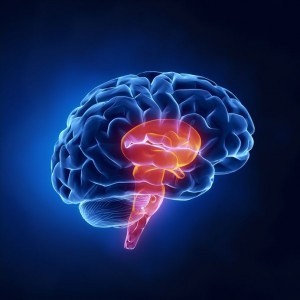 brain stem biopsy, physical exam nervous system