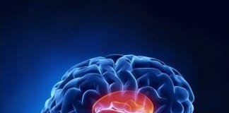Physical Exam Tips: The Nervous System brain stem biopsy