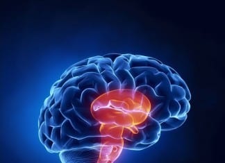 Fearless Neurologist Attempts to Order Brain Stem Biopsy Via EHR brain stem biopsy