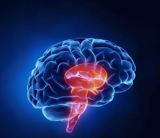 Physical Exam Tips: The Nervous System brain stem biopsy