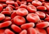 Alternative Blood Bank Offers Homeopathic Blood Products red blood cells