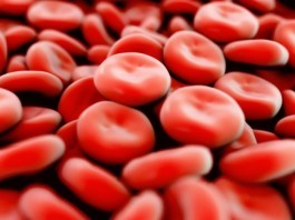 Alternative Blood Bank Offers Homeopathic Blood Products red blood cells