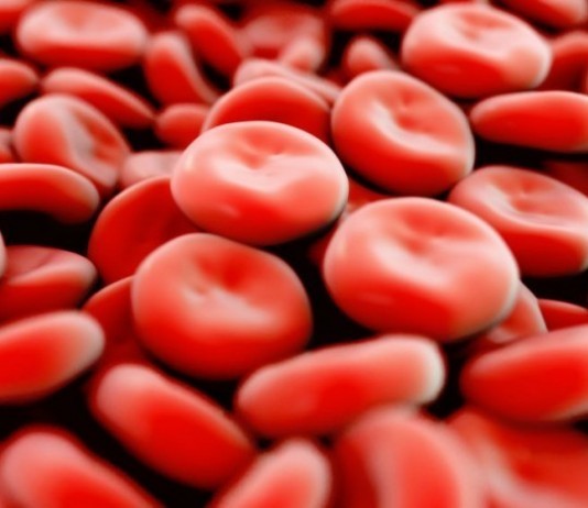 Alternative Blood Bank Offers Homeopathic Blood Products red blood cells