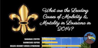 What are the Leading Causes of Morbidity & Mortality in Louisiana in 2014?