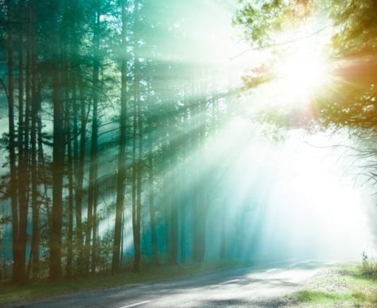 New Study Shows Tammyflu Pills Provide Eternal Life eternal life