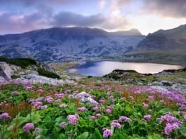 Natural Dilaudid Spring Discovered in Alps; Drug Seekers Scramble for Climbing Gear, Airline Tickets natural dilaudid spring