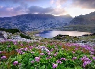 Natural Dilaudid Spring Discovered in Alps; Drug Seekers Scramble for Climbing Gear, Airline Tickets natural dilaudid spring