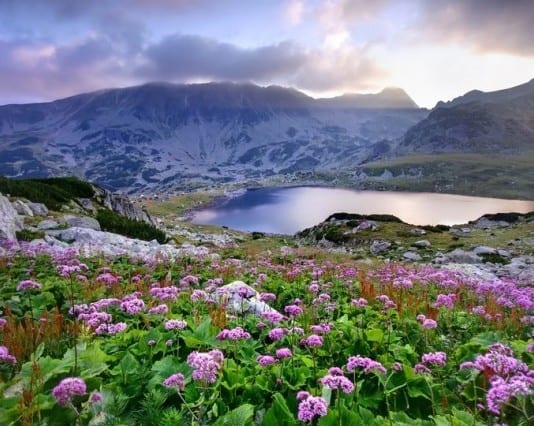 Natural Dilaudid Spring Discovered in Alps; Drug Seekers Scramble for Climbing Gear, Airline Tickets natural dilaudid spring