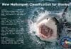 New Mallampati Airway Classification for Sharks