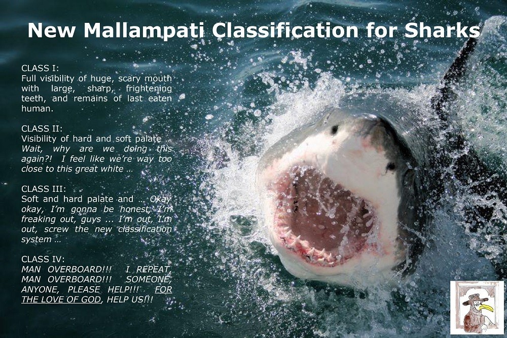 is how anesthesia nurse Classification for New Airway Sharks Mallampati GomerBlog