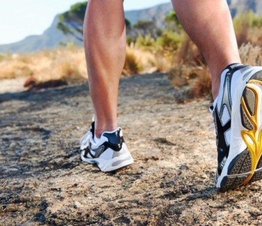 Census Data Project Power-Chair Riders Will Outnumber Pedestrians by 2040 walking