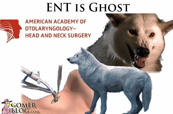 Otolaryngology - ENT [Ghost, Jon Snow's Dire Wolf] - In an emergency you go for the throat