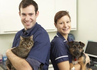 Veterinarians to Care for Children veteranarian