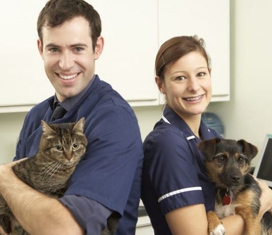 Veterinarians to Care for Children veteranarian