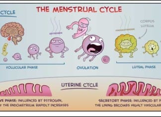 MEDCOMIC Cartoons: Hilarious Medical Learning (Volume 1) menstrual cycle