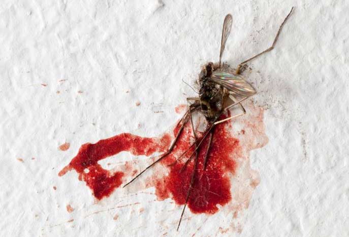 physician-americans to be listed in next us census as newest