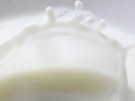 Milk Fat Prolongs Survival of Government Dietary Recommendations whole milk