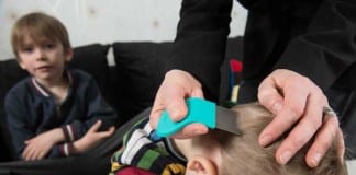 Frantic Mom Hires Exterminator to Rid Son’s Head of Lice head lice