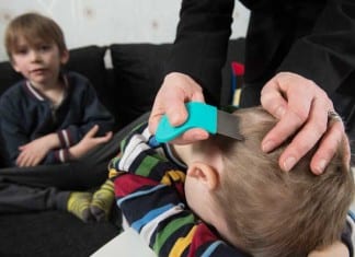 Recurrent Lice Outbreaks Have ID Specialists Scratching Their Heads head lice