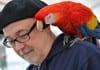 Health Department Gives Parrots To Patients Who Need Reminding parrot on shoulder