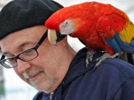 Health Department Gives Parrots To Patients Who Need Reminding parrot on shoulder