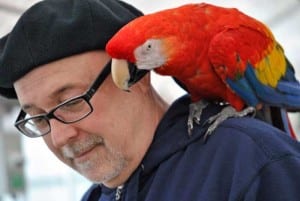 parrot on shoulder