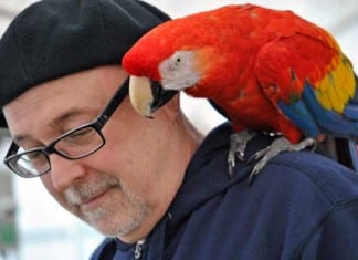 Health Department Gives Parrots To Patients Who Need Reminding parrot on shoulder