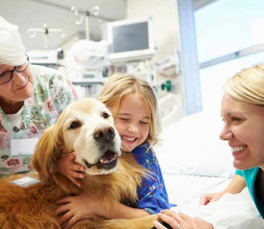 Physician Reprimanded for Overprescribing Therapy Dogs therapy dog
