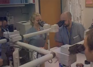 Video: Thrift Lab (Parody)