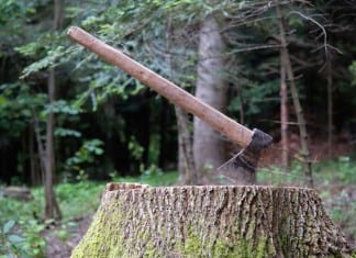 New Orthopedic Surgery Simulator a Warehouse Filled with Tree Stumps, Blunt Ax orthopedic