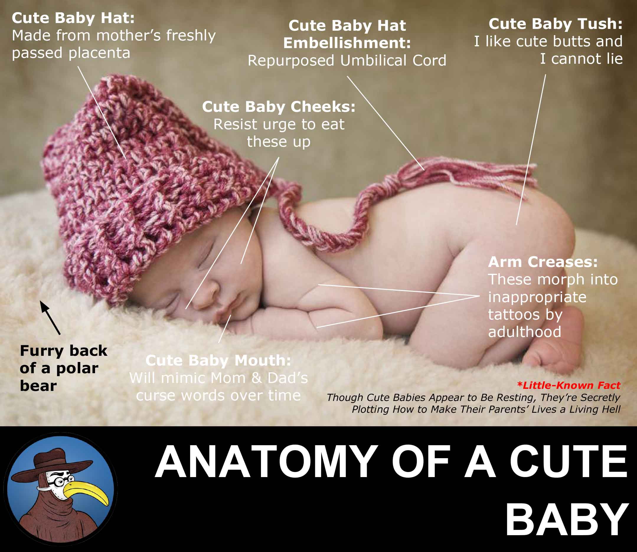 Anatomy of a Cute Baby
