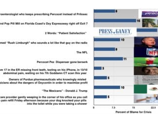 The Opioid Epidemic: Who is Responsible? opioid bar graph