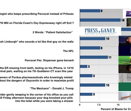 The Opioid Epidemic: Who is Responsible? opioid bar graph