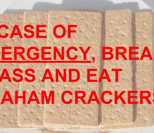 97% of World’s Graham Cracker Supply Located in Hospital Drawers, White Coat Pockets graham crackers