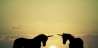 Internal Medicine Certification Exam to Test Fewer Zebras, More Unicorns unicorns