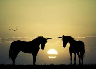 Internal Medicine Certification Exam to Test Fewer Zebras, More Unicorns unicorns