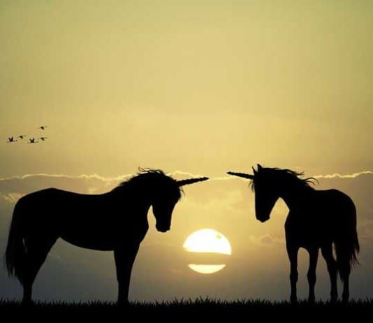 Internal Medicine Certification Exam to Test Fewer Zebras, More Unicorns unicorns